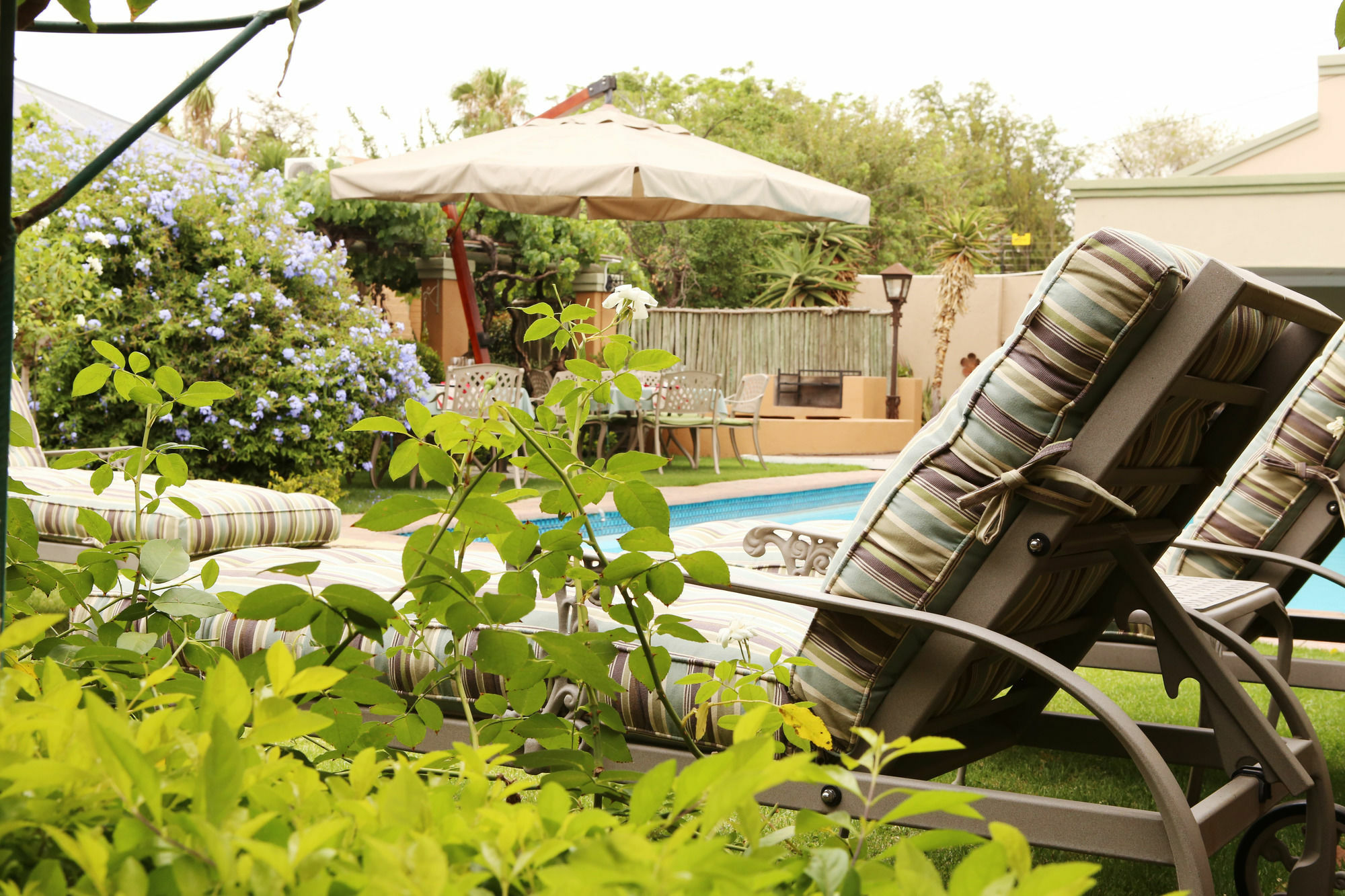 Oleander Guest House Kimberley Exterior foto